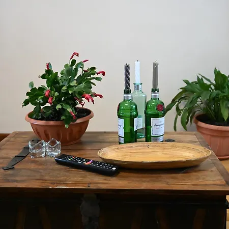 Egea House Apartamento Lido di Camaiore